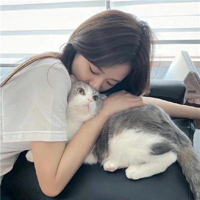 新弦